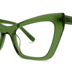 23 Green Plastic Frame