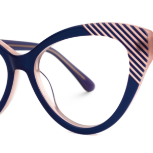 12 Blue and Pink Plastic Frame