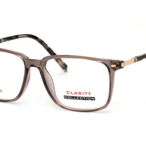 CLARITY NEW 031(LARGE)